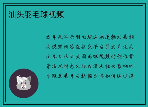 汕头羽毛球视频