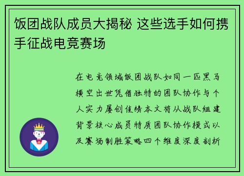 饭团战队成员大揭秘 这些选手如何携手征战电竞赛场